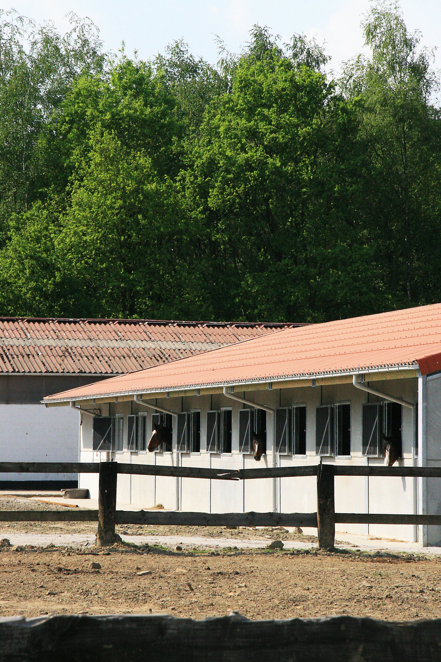 STAL DEN DOORNLAAR Rijmenam